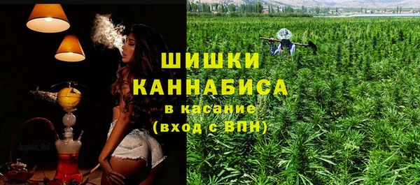 эйфоретик Арсеньев