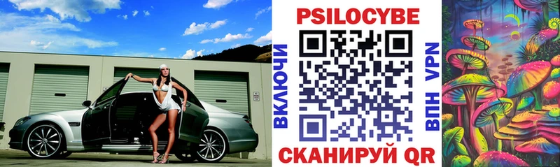 Галлюциногенные грибы Psilocybe  купить наркоту  Дегтярск 